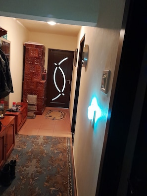 Un pasillo con alfombra estampada, un armario de madera y una puerta de diseño original.