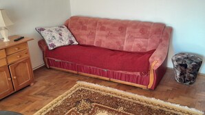 A red sofa with floral cushions, a wooden cabinet, and a patterned rug in a room with wooden flooring. - 2 Bed Appt-balcony-pet Friendly-city Centre (Focsani)