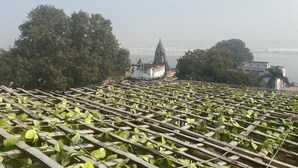 A view of a garden with a wooden pergola structure and lush green plants. In the background, there is a temple-like building with a pointed roof and a white wall. - Via Ganga View (Varanasi)