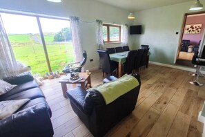 Télévision, cheminée, livres