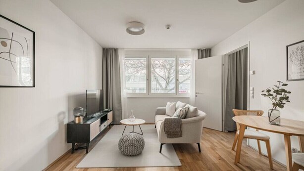 Ein modernes Wohnzimmer mit einer Couch, einem Couchtisch und einem Fernseher. Es gibt ein Fenster mit Vorhängen, eine Tür und eine Pflanze auf dem Tisch.