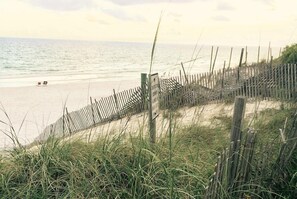 Plage à proximité