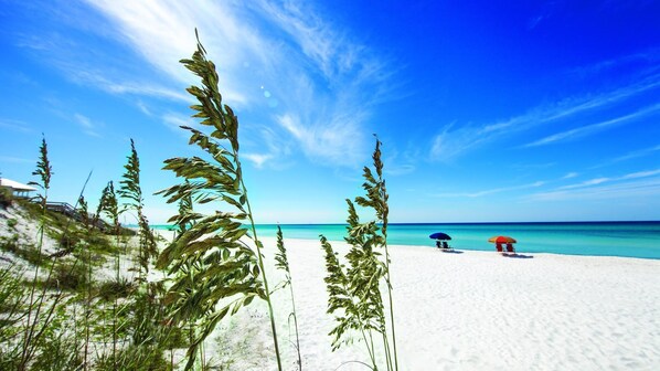 A beach with white sand, clear turquoise water, and a few tall grasses in the foreground. There are two umbrellas and a small structure in the background.