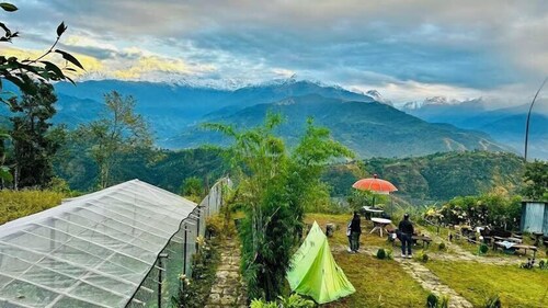 Moonlight Homestay And Camping Site