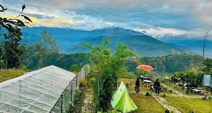 Moonlight Homestay And Camping Site