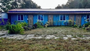 A blue building with a corrugated metal roof, surrounded by a garden with various plants and a stone pathway.