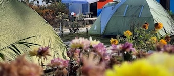 Moonlight Homestay And Camping Site