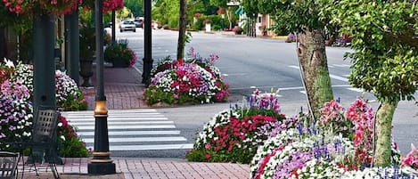 House, 5 Bedrooms | Property grounds