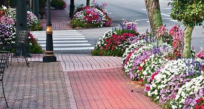 Serene Oasis In Daphne: Cozy Home With Giant Oaks 4 Bedroom Home