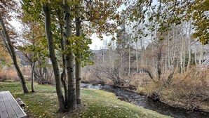 Un parc avec un petit ruisseau, des arbres et un banc en bois.