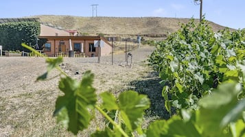 House, 2 Bedrooms | Property grounds