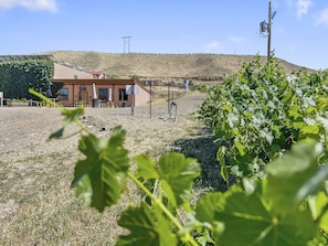 Cottage, 1 Bedroom | Property grounds - River City Hideaway 1 Bedroom Cottage (Grand Junction)