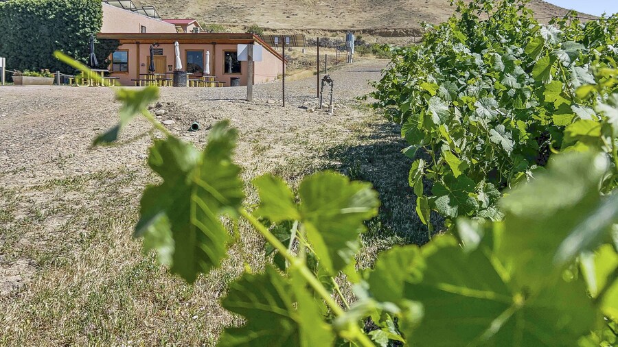 River City Hideaway 1 Bedroom Cottage