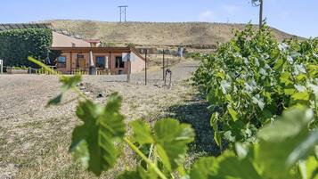 House, 2 Bedrooms | Property grounds