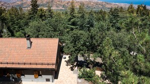 Une maison avec un toit en tuiles, entourée d’une épaisse forêt de pins, qui offre une vue sur un paysage montagneux et la mer.
