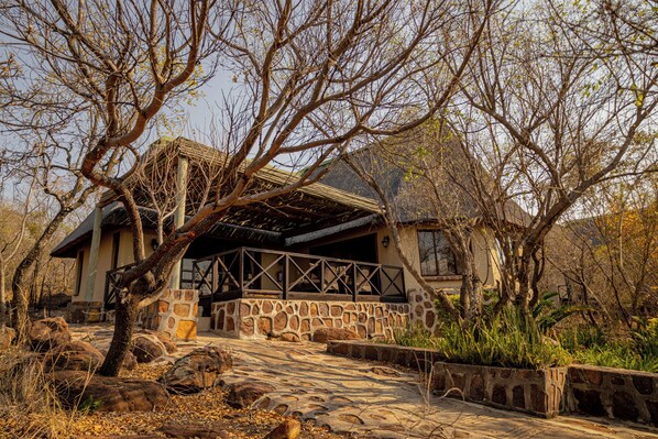 A stone house with a covered porch, surrounded by trees and a stone pathway. - Room in Guest Room - Mmakuba Private Game Lodge, Superior Suite 4 (Mookgopong)