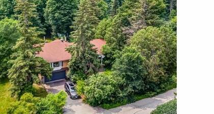 Gorgeous 3BR Home • Modern & Fully New Updated