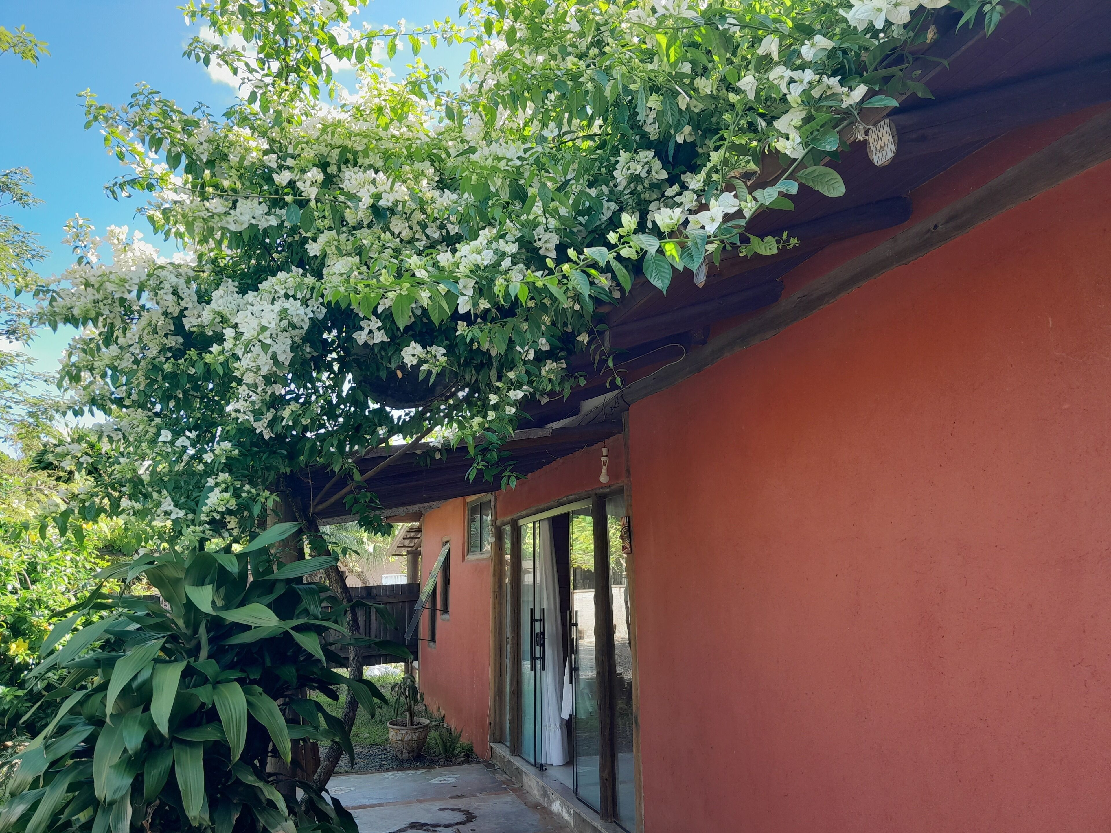 Detalle del exterior