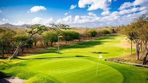 A golf course with a flagstick, trees, and a clear sky.