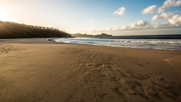 A beach with a wide sandy shore, gentle waves, and a forested area in the background.