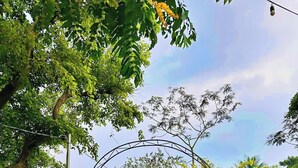 A garden pathway with a metal archway, surrounded by lush greenery and yellow flowering plants. - Shanti Wellness Sanctuary (Lemery)