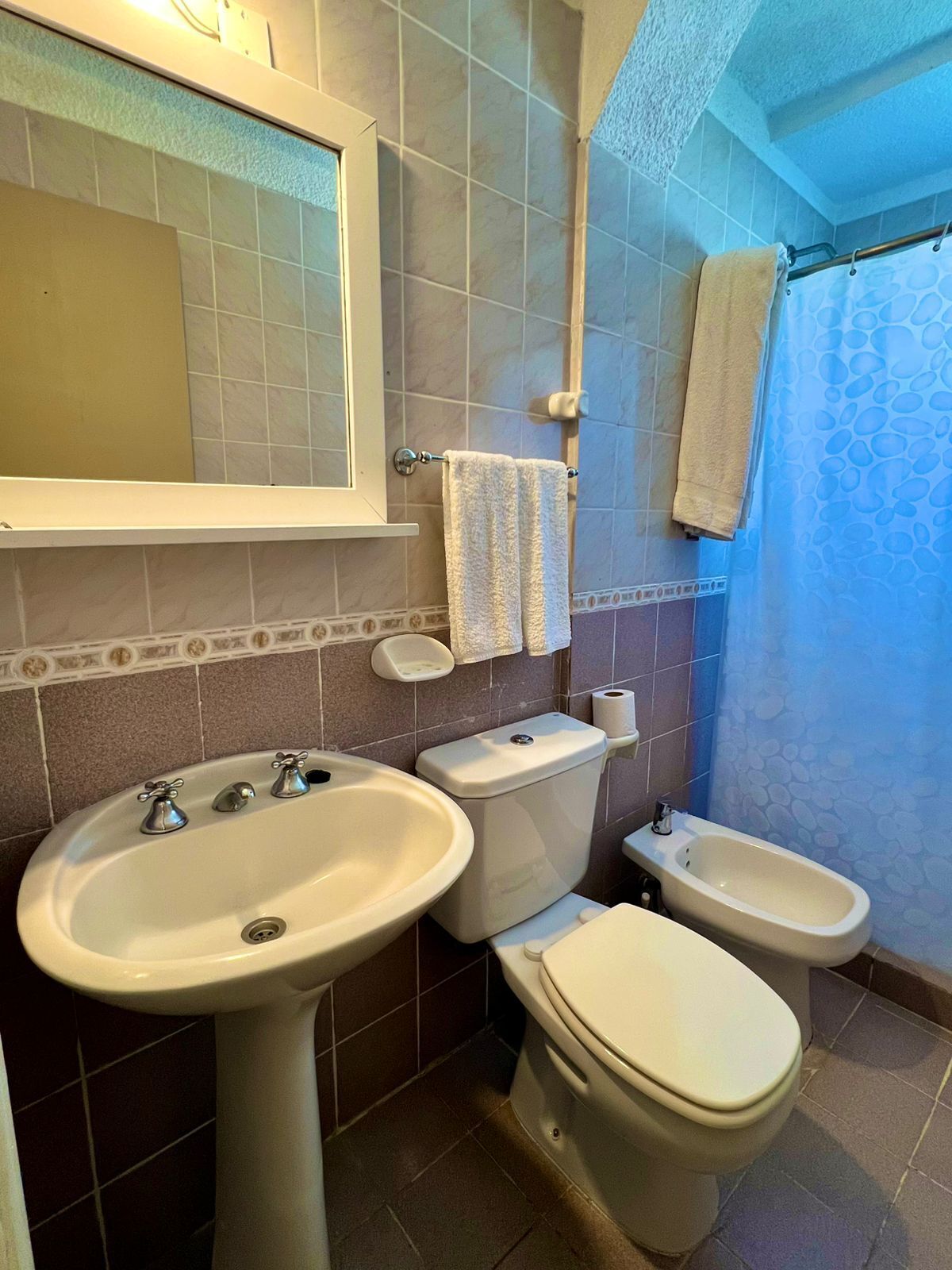 A bathroom with a sink, toilet, bidet, and a shower curtain.