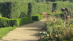 A dirt path leading through a lush green landscape with a bench and dense foliage. - Cosy Cottage in South Yorkshire Village. 
 (Darfield)