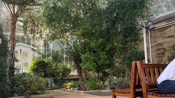 A greenhouse with a tiled floor, wooden benches, and various plants. - Cosy Cottage in South Yorkshire Village. 
 (Darfield)