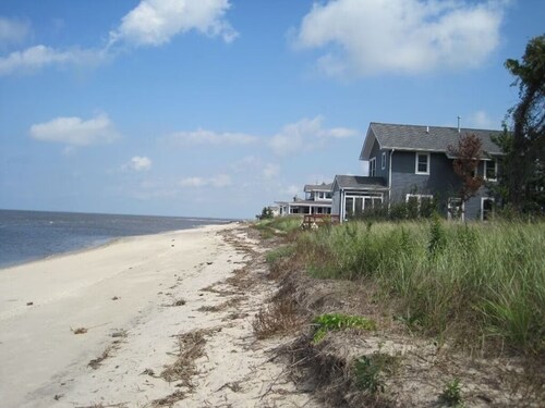 Cape May-1 block to Delaware Bay beach, sleeps 10 and pet friendly