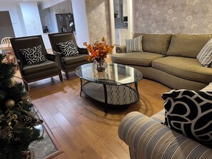 Smart TV, fireplace, books
