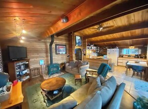 TV connectée, cheminée, lecteur de DVD, livres