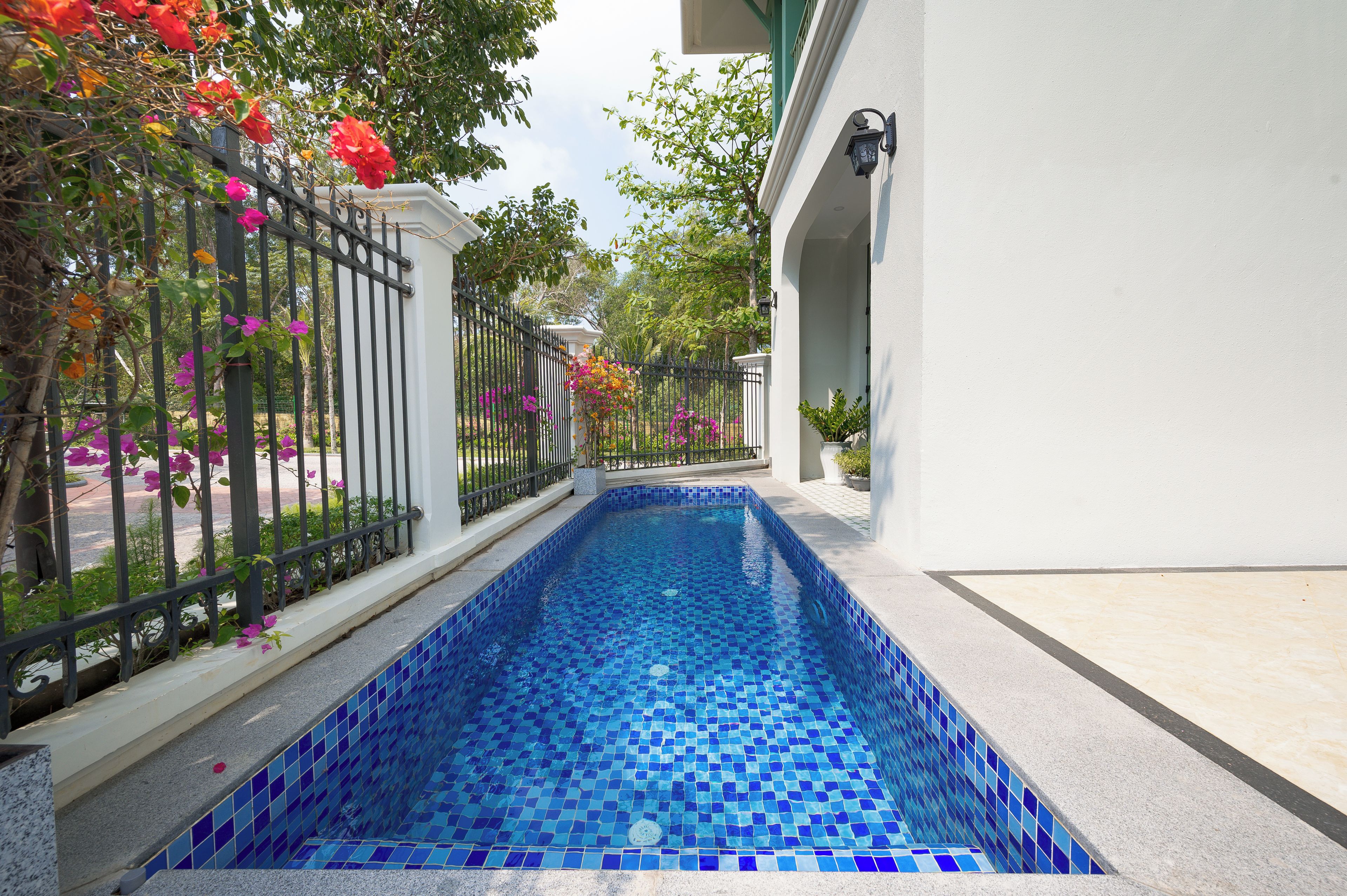 A swimming pool with blue mosaic tiles, surrounded by a black metal fence and flowering plants.