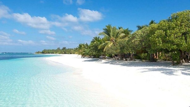 A beach with clear turquoise water, white sand, and palm trees. - Elyday Villa - Bai Khem Beach, Phu Quoc (Phu Quoc)