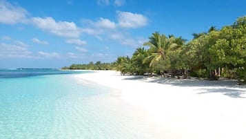 Plage, sable blanc, parasols
