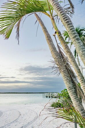 On the beach - #1107 Lovers Key Beach Club Private Beach (Bonita Springs)