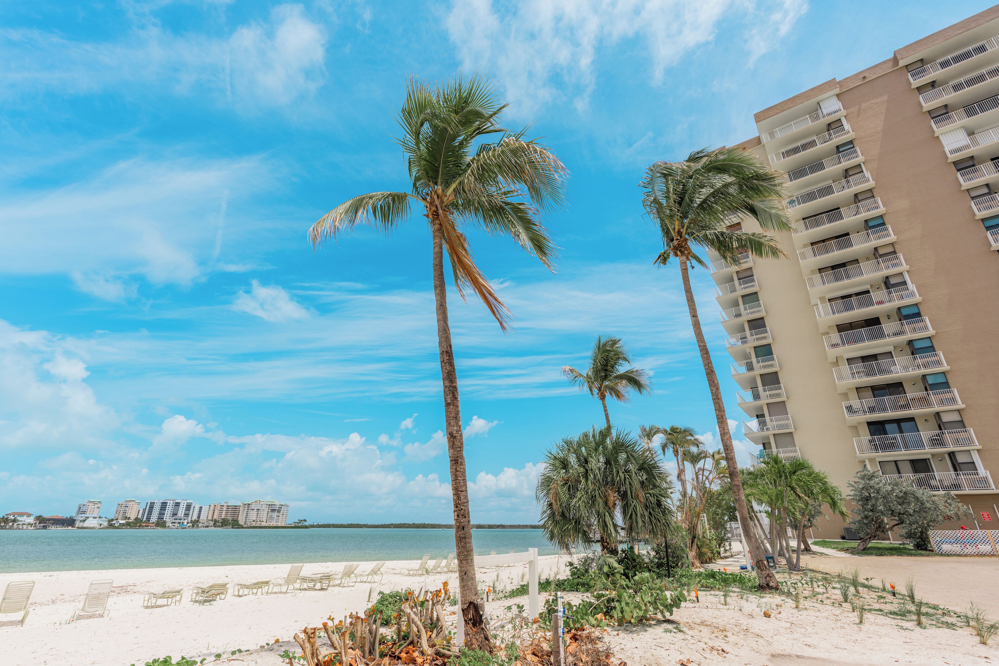 A beachfront hotel with palm trees, a sandy beach, and a clear blue sky.