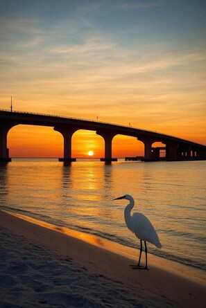 On the beach - #803 Lovers Key Beach Club Ocean Views (Bonita Springs)
