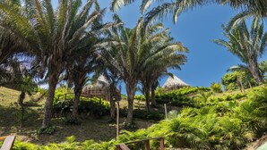 Un jardin tropical agrémenté de palmiers, d’un mur en pierre et d’une terrasse en bois.