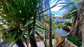 A tropical garden with a wooden deck, a stone planter, and a view of the sea. - La Spiaggia (Moneglia)