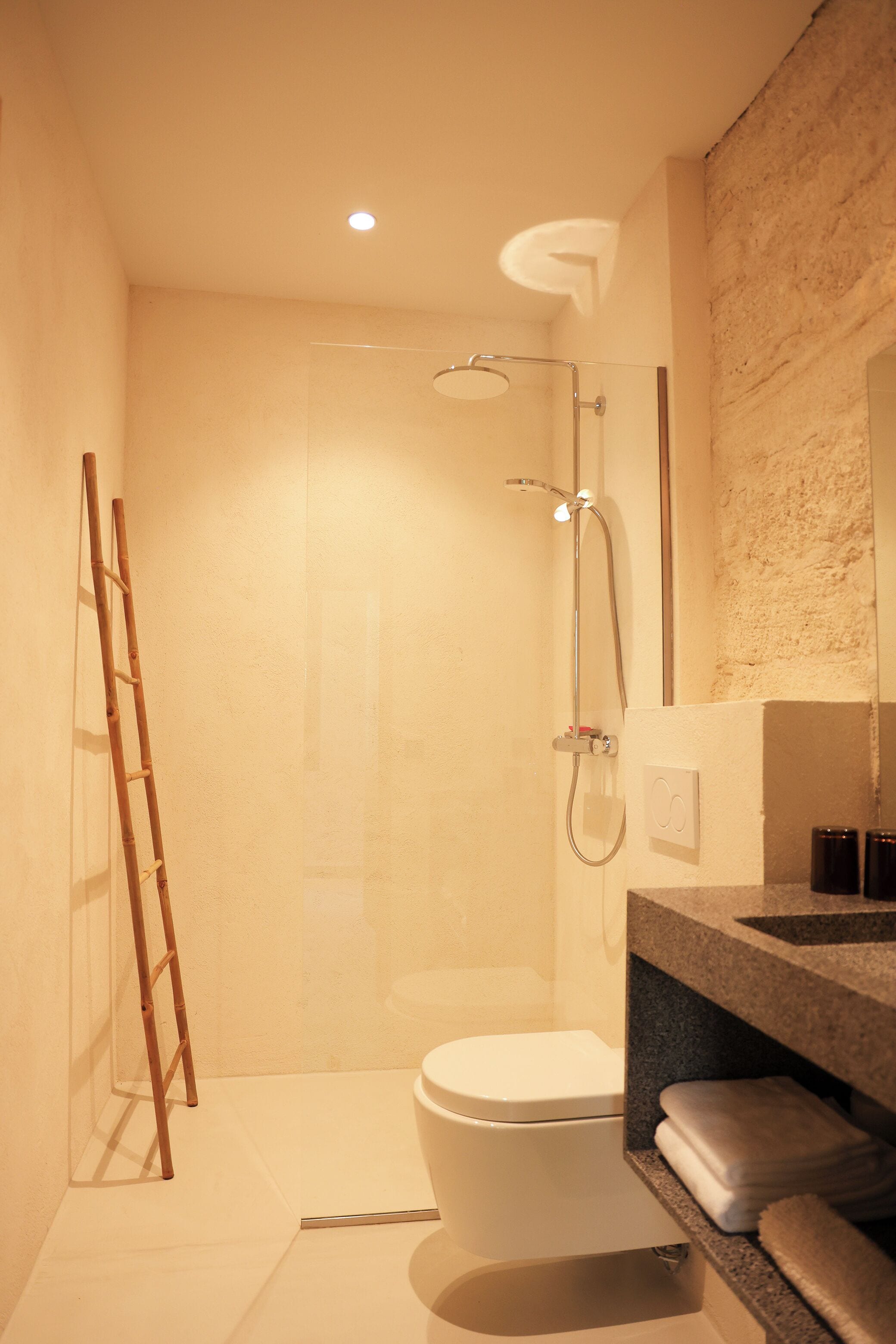 Un bagno moderno con doccia, WC e una scala in legno.