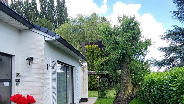 Una casa moderna con fachada blanca, un ventanal grande y un jardín cuidado con un árbol y plantas en macetas.