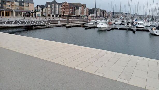 Een jachthaven met aangemeerde boten, een voetgangersbrug en gebouwen op de achtergrond.