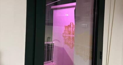 Trevisan Cerea 4: Cozy one-bedroom apartment