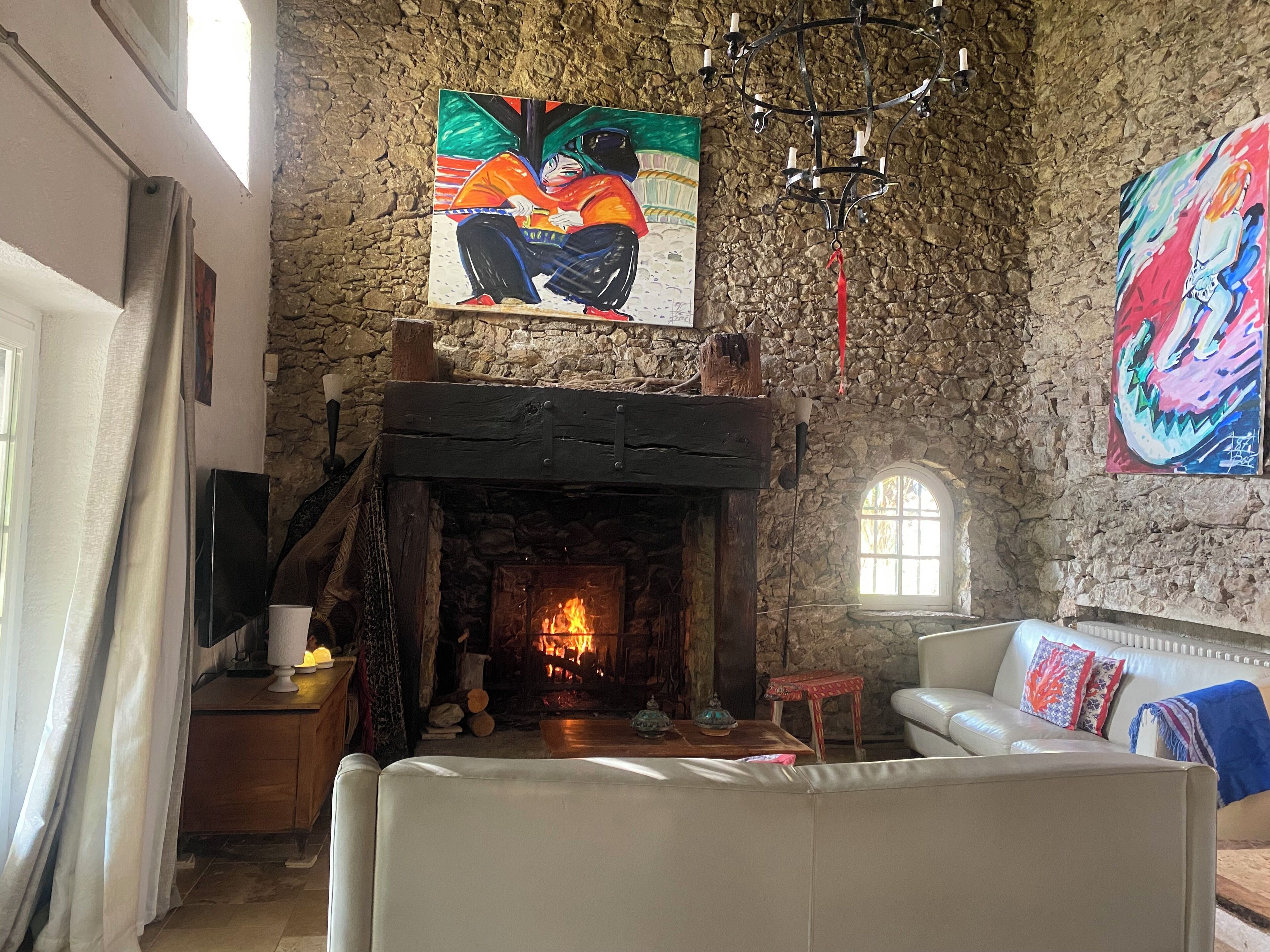 智能電視、壁爐、DVD 播放機、書籍