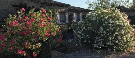 Jardines del alojamiento