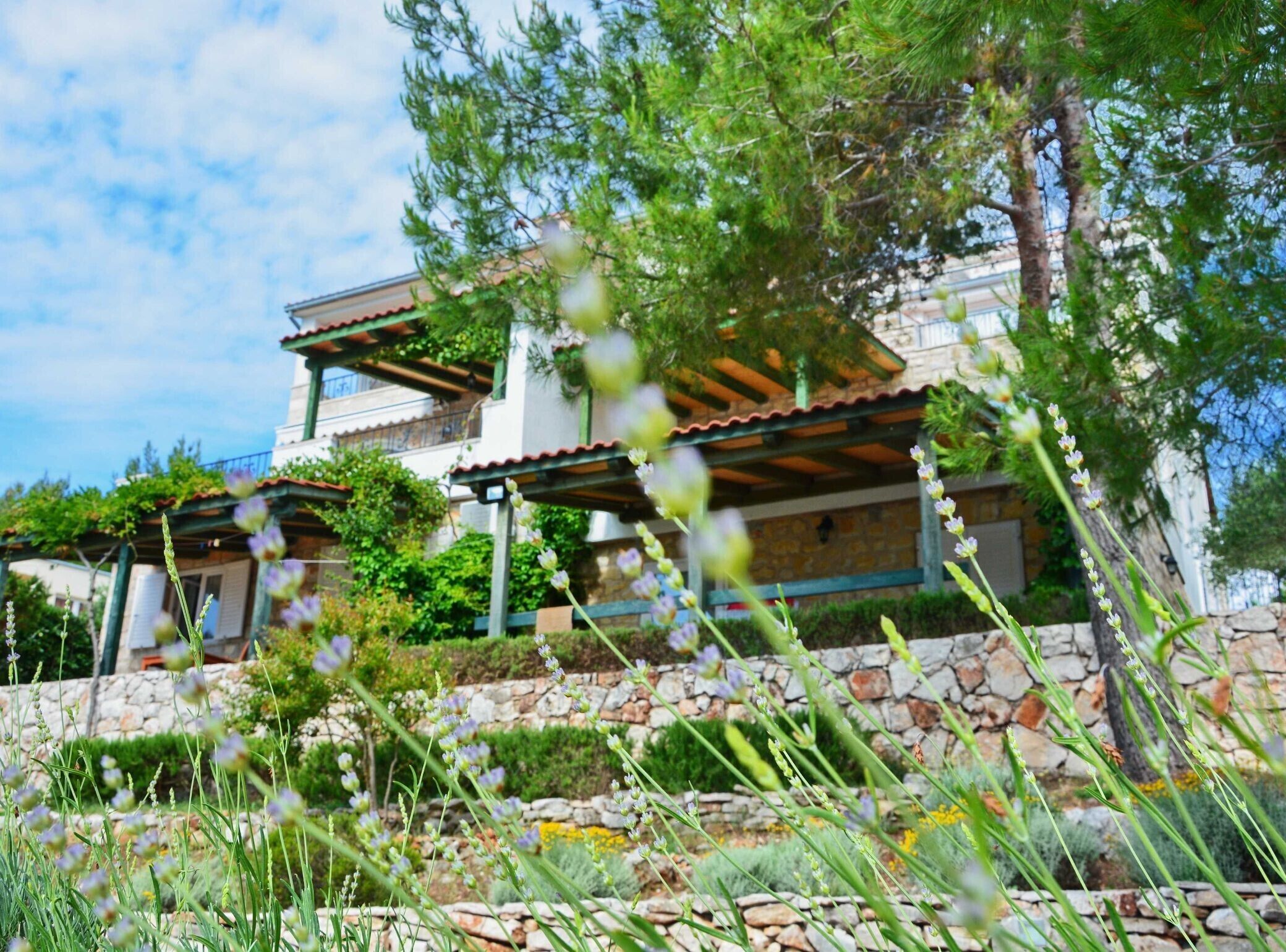 Jardines del alojamiento