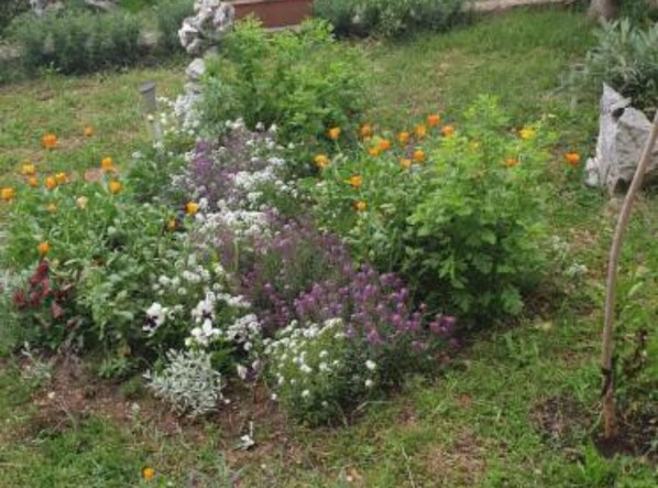 A garden with various plants and flowers, including orange and purple blooms, and a stone structure in the background.