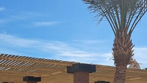 A building with a covered outdoor seating area, stone walls, and a palm tree.