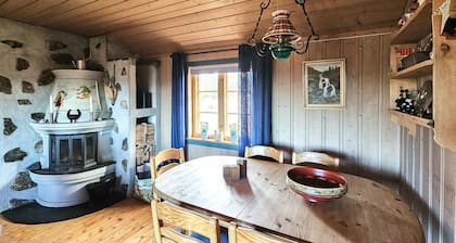 4 bedroom awesome home in Hemsedal