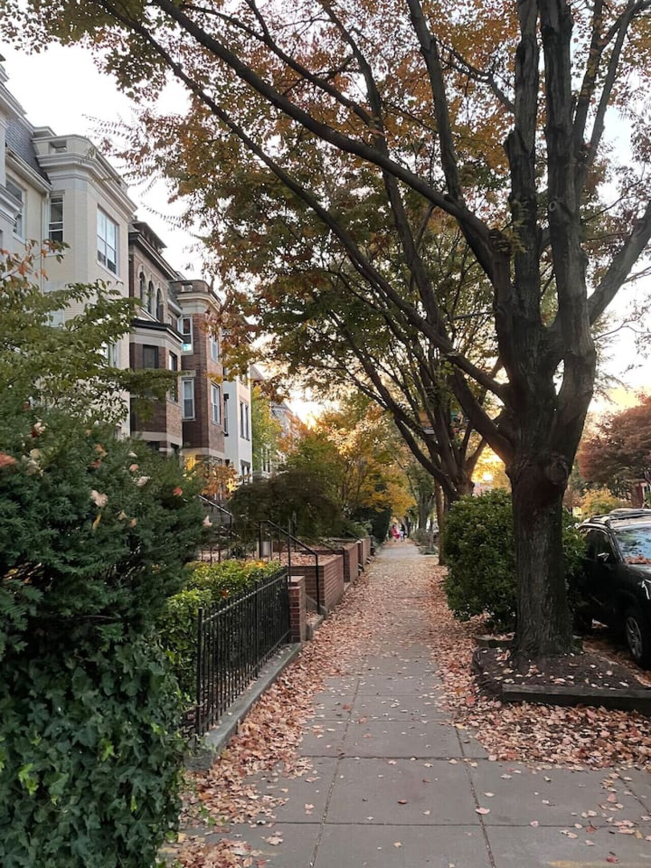 Un trottoir bordé d’arbres, avec un mur de briques et une voiture noire garée sur le côté droit.